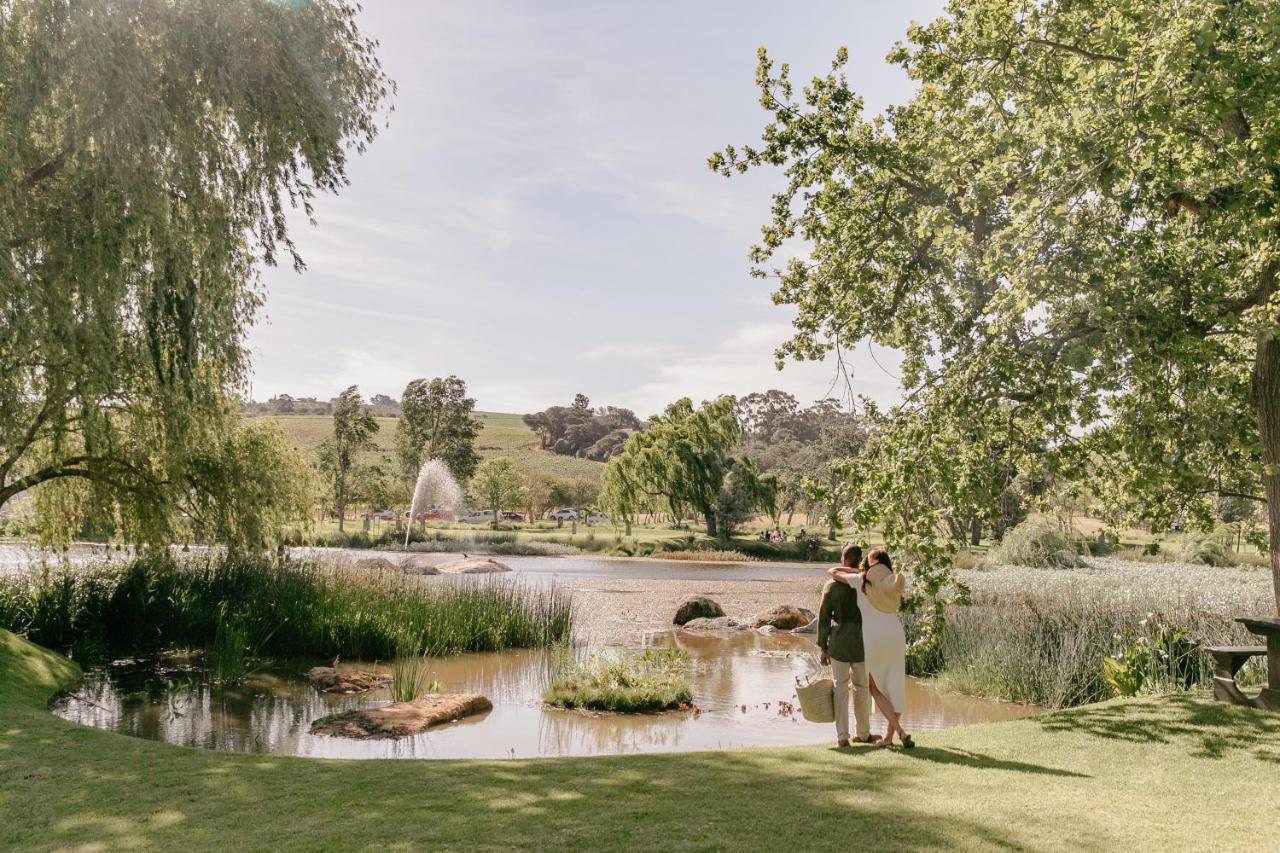 Spier Hotel&wine Farm Stellenbosch